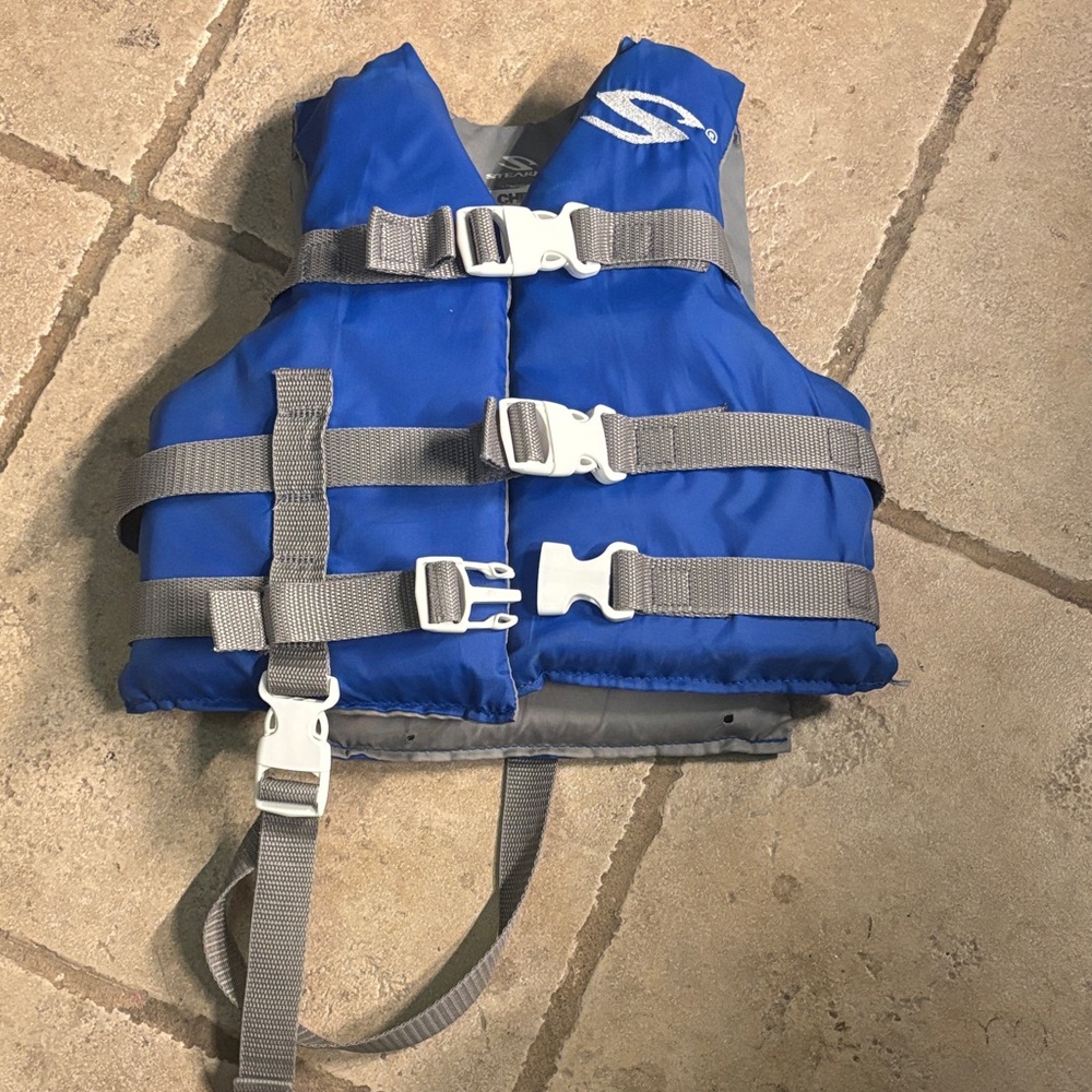 Blue Life Vest with Gray Straps